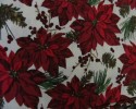 Christmas - Red Poinsettiers With Pine Cones on White Background